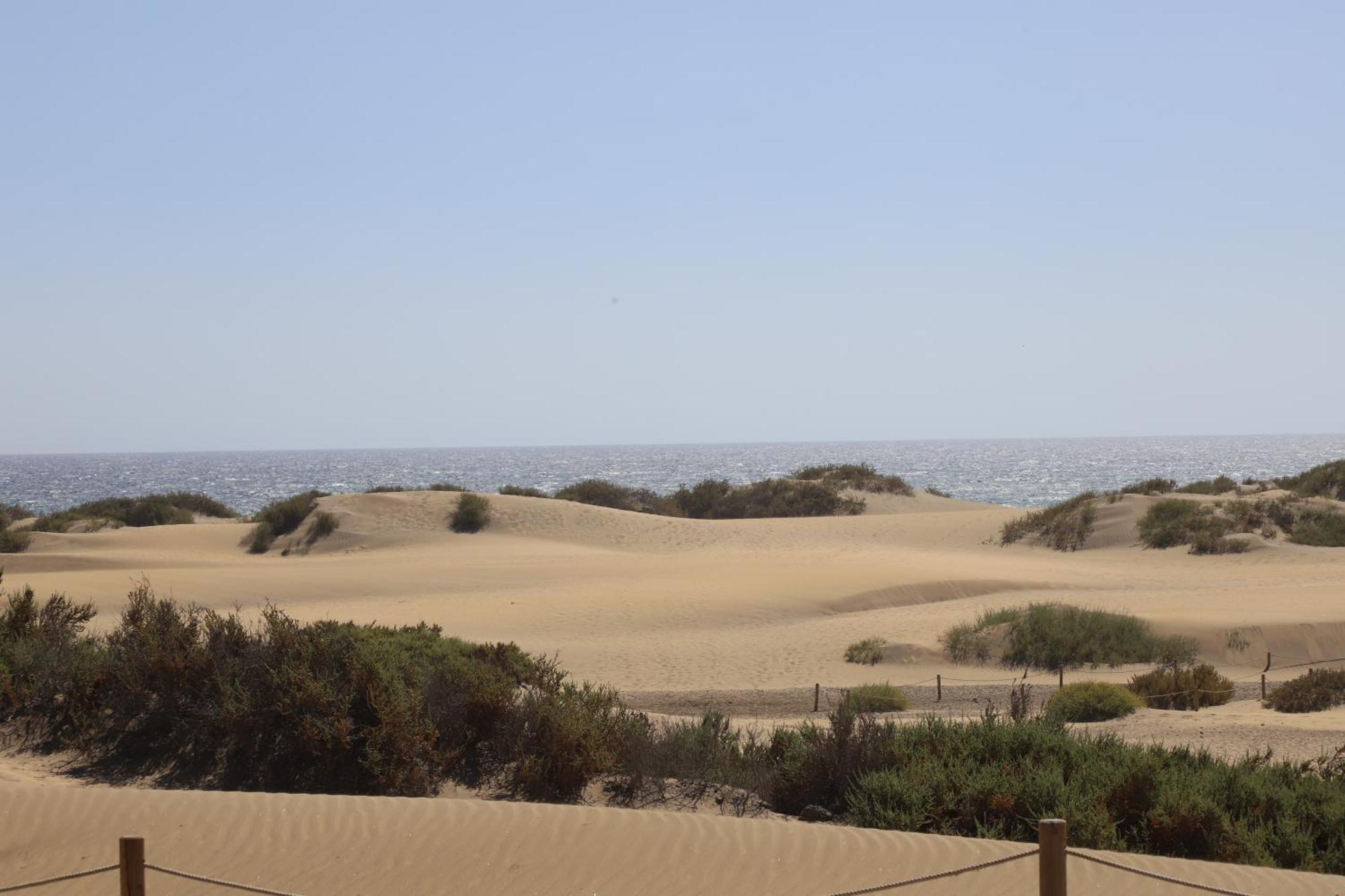 Appartement Confortevole Playa Del Ingles Maspalomas (Gran Canaria)