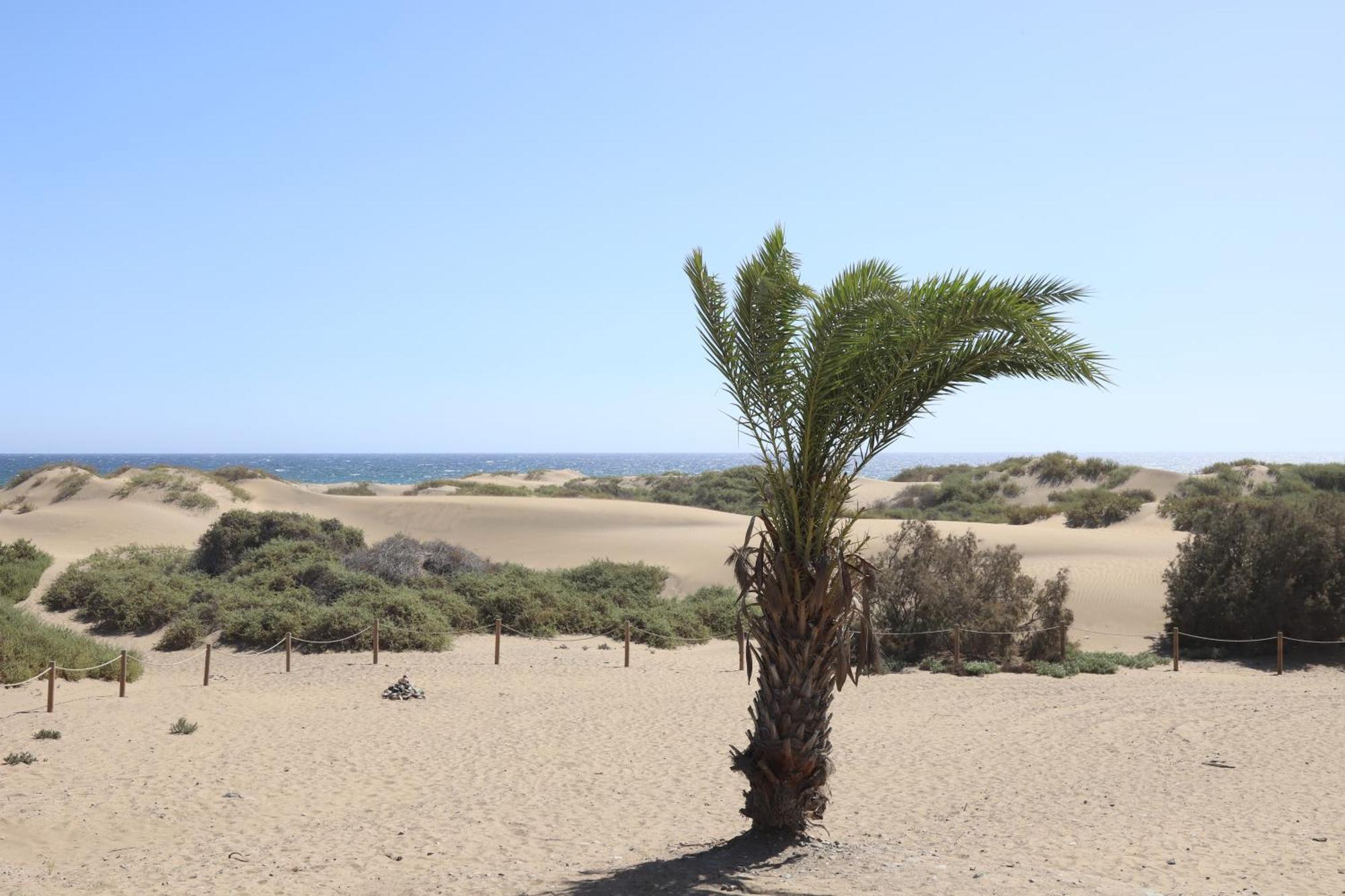 Appartement Confortevole Playa Del Ingles
